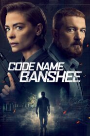 Code Name Banshee 2022 on netflix