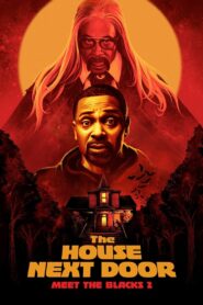 The House Next Door: Meet the Blacks 2 2021 on netflix