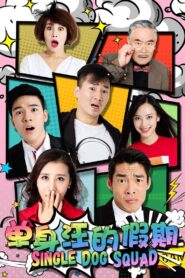 单身汪的假期 2017 on netflix