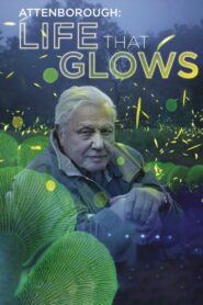 Attenborough’s Life That Glows 2016 on netflix