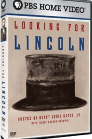 Looking for Lincoln 2009 on netflix