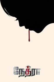Nethraa 2019 on netflix