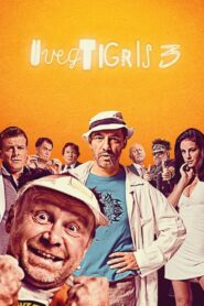 Glass Tiger 3 2010 on netflix