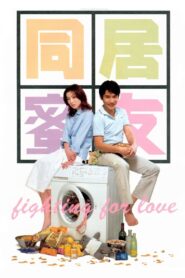 Fighting for Love 2001 on netflix
