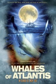 Whales of Atlantis: In Search of Moby Dick 2003 on netflix