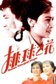The “Volleyball Flower” 1980 on netflix