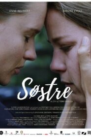 Sisters 2017 on netflix