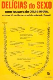 Delícias do Sexo 1980 on netflix
