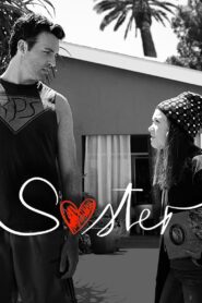 Sister 2014 on netflix