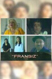 The Frenchman 1995 on netflix