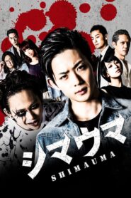 Zebra 2016 on netflix