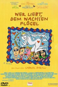 On the Wings of Love 1999 on netflix