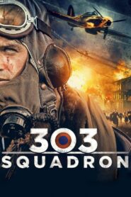 303 Squadron 2018 on netflix