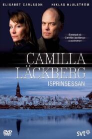 Camilla Läckberg: The Ice Princess 2007 on netflix