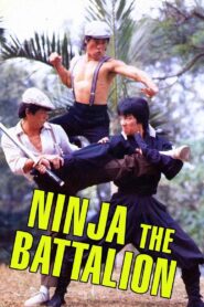 Ninja: The Battalion 1988 on netflix