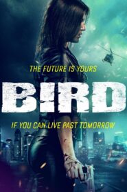 Bird 2020 on netflix