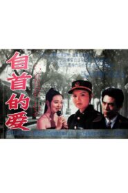 自首的爱 1994 on netflix