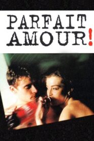 Perfect Love 1996 on netflix