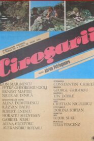 Cireșarii 1984 on netflix