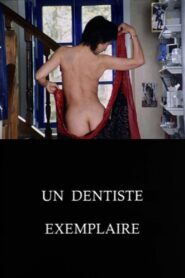 Un dentiste exemplaire 1998 on netflix