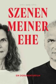 Szenen meiner Ehe 2019 on netflix