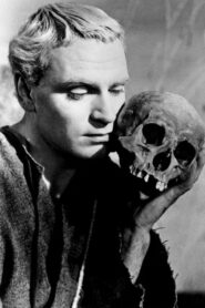 Discovering Hamlet 2011 on netflix