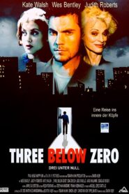 Three Below Zero 1998 on netflix