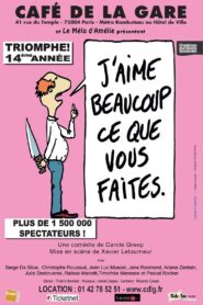 J’aime beaucoup ce que vous faites 2017 on netflix