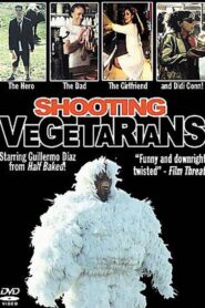 Shooting Vegetarians 2005 on netflix