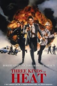 Three Kinds of Heat 1987 on netflix