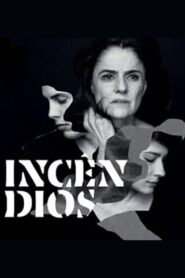 Incêndios 2014 on netflix