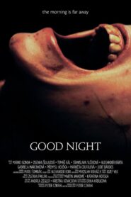 Good Night 2013 on netflix