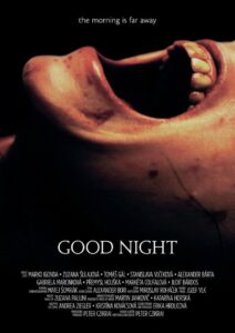 Good Night 2013 on netflix