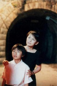 The Tunnel 2004 on netflix
