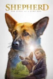 Shepherd: The Story of a Jewish Dog 2020 on netflix