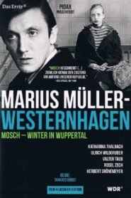 Mosch 1980 on netflix