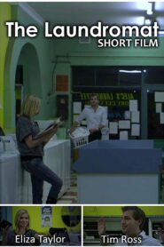 The Laundromat 2010 on netflix