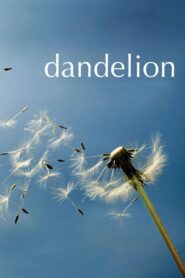 Dandelion 2004 on netflix