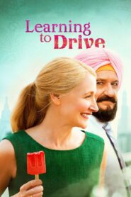 Learning to Drive 2014 on netflix