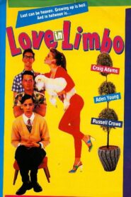 Love In Limbo 1993 on netflix