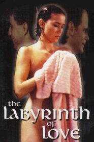 The Labyrinth of Love 1994 on netflix