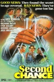 Second Chance 1996 on netflix