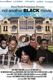 Not Another Black Movie 2016 on netflix