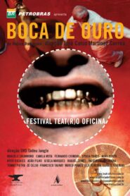 Boca de Ouro 1999 on netflix
