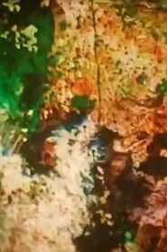 Spring Cycle 1995 on netflix