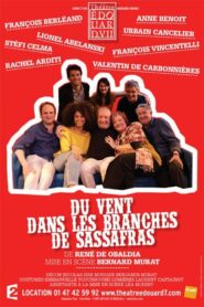 Du vent dans les branches de sassafras 2016 on netflix