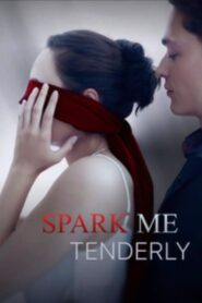 Spark me tenderly 2024 on netflix