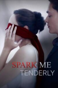 Spark me tenderly 2024 on netflix