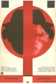 Wild Violets 1980 on netflix