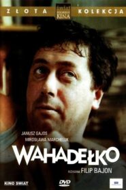 Wahadełko 1981 on netflix